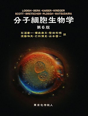 細胞の分子生物学 第6版 （分子細胞生物学 第6版 | H.LODISH
